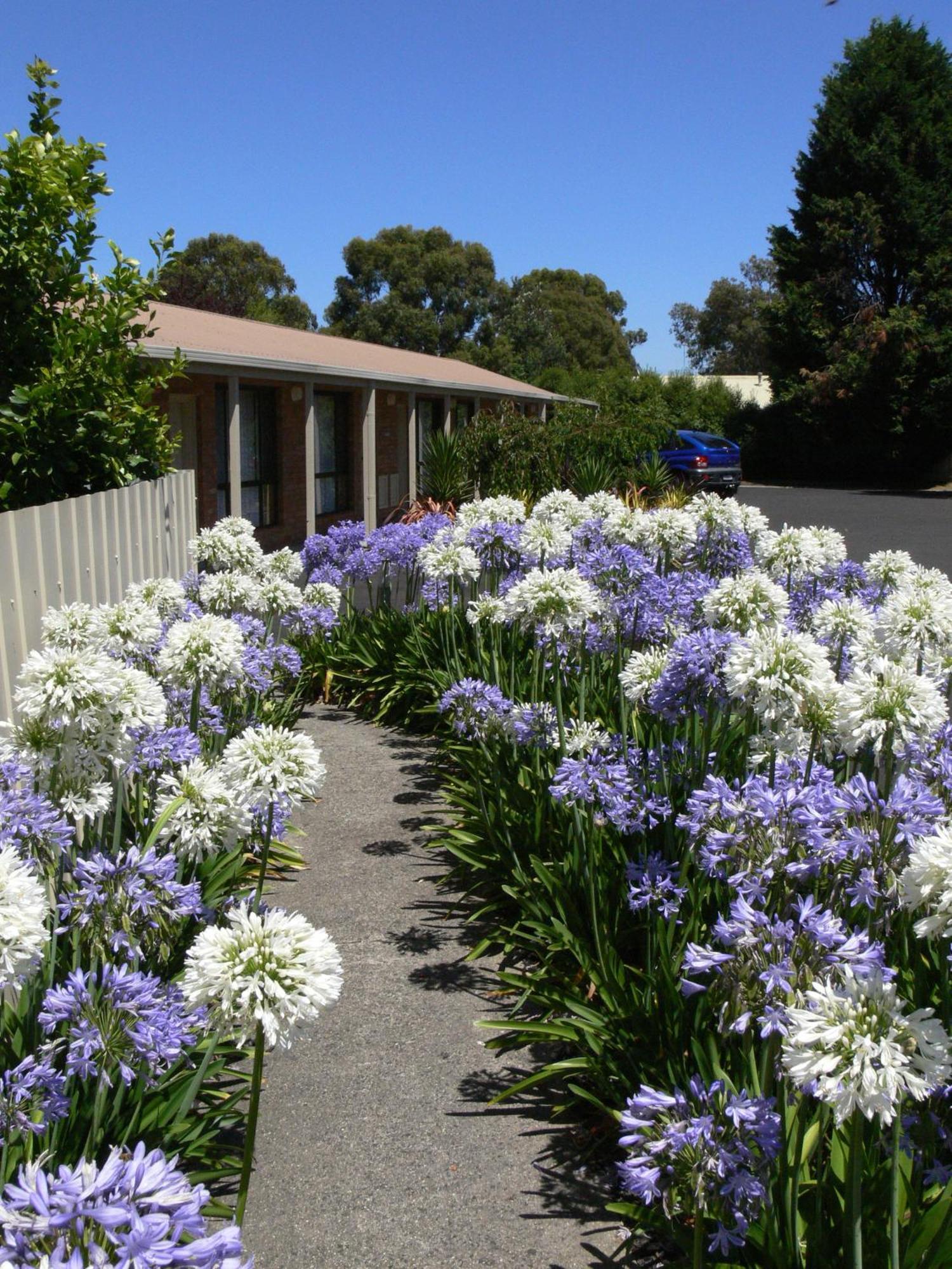 Begonia City Motor Inn Ballarat Exterior foto